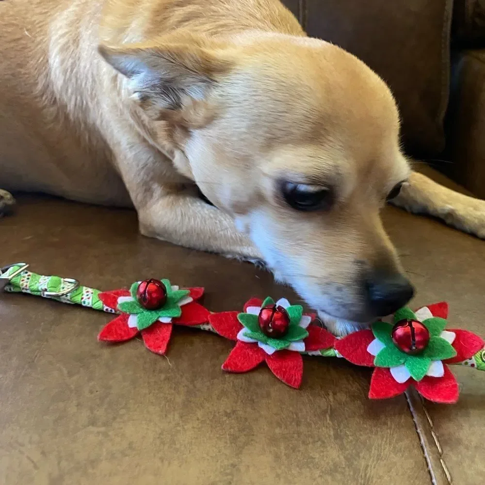 Fancy Christmas Poinsettia Collar